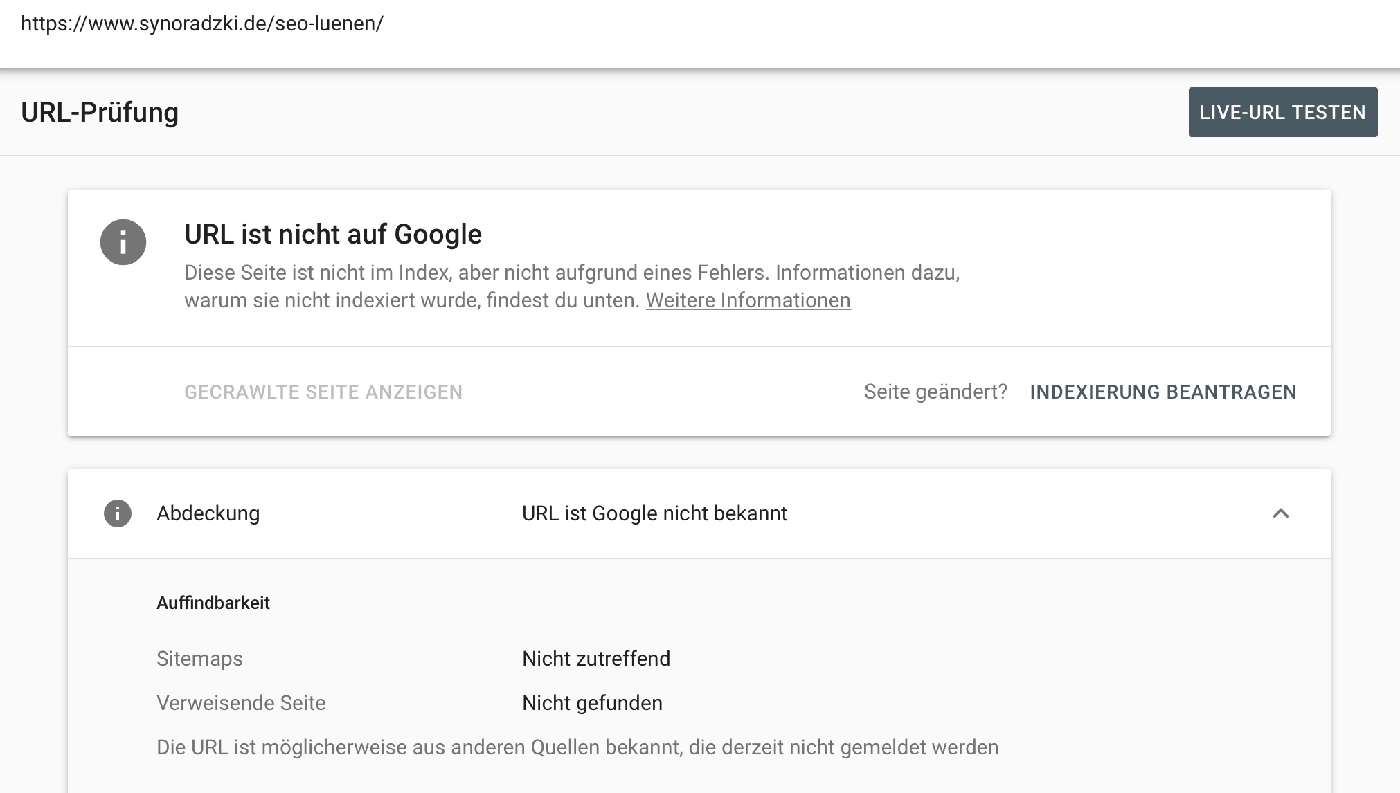 SEO Lünen - Google Indexierung